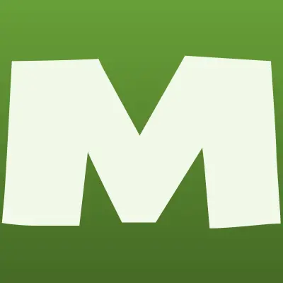 Муромский институт